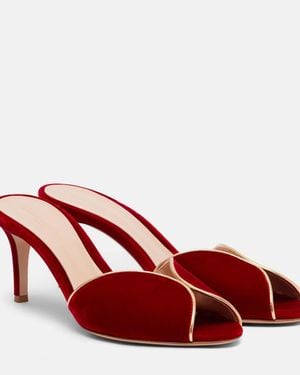 Gianvito Rossi 70 Leather-Trimmed Velvet Mules - Red
