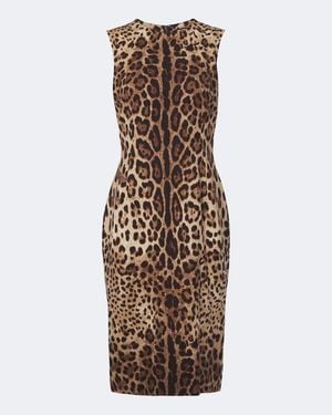 Dolce & Gabbana Leopard-Print Silk-Blend Charmeuse Midi Dress - Brown