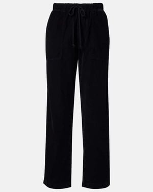 Velvet Cotton Corduroy Pants - Blue