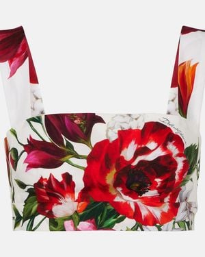Dolce & Gabbana Floral Cotton Poplin Bra Top - Red