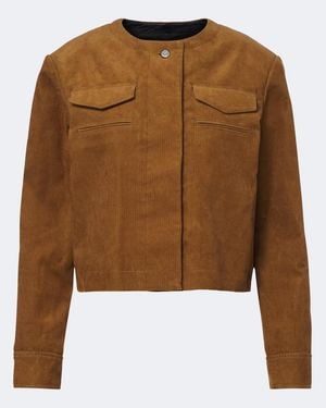 Tory Burch Chaqueta Cropped De Pana De Algodon - Marrón