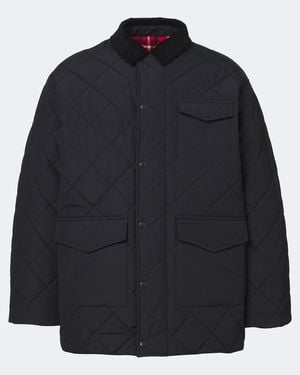 Canada Goose Chaqueta Terra Acolchada - Azul