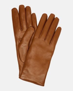 Nour Hammour Handschuhe Aus Leder - Braun