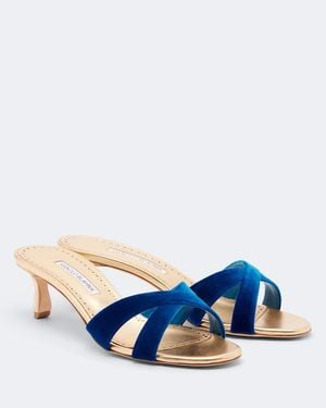 Manolo Blahnik Callydramu Velvet Mules - Blue