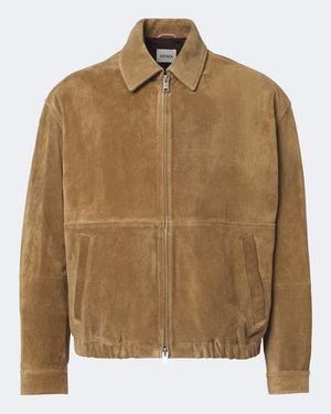 Arma Maddox Suede Blouson Jacket - Brown