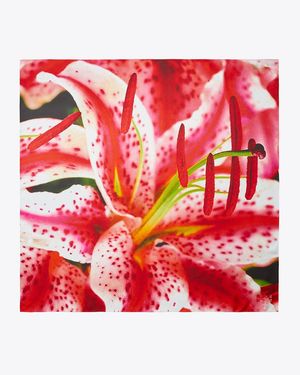 Tory Burch Lily Silk Square Scarf, One Size - Red