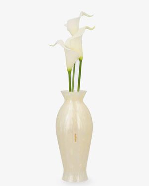 Cult Gaia Florence Acrylic Clutch Bag With Marbled Effect And Calla Lily Detail - Natural