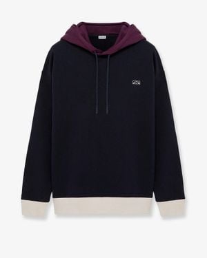 Loewe Cotton Hoodie - Blue