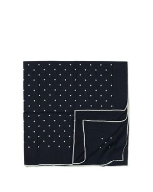 Destin Scarves & Silk Scarves - Blue