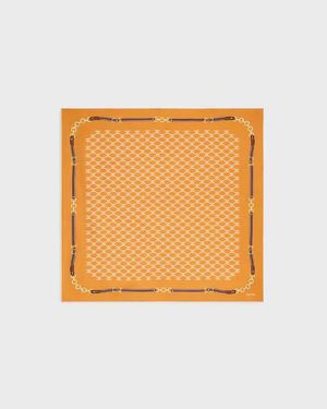 Celine Scarves & Silk Scarves - Orange