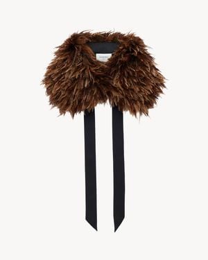 Saint Laurent Col En Plumes Et Organza De Soie - Marron