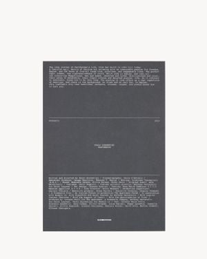 Saint Laurent Sl Editions: Parthenope - Gris