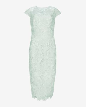 Ted Baker Fitted Lace Dress - Green