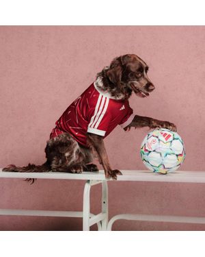 adidas Pet Jersey Liverpool Fc - Red