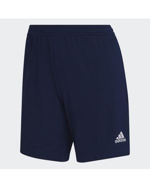 adidas Entrada 22 Training Shorts - Blue
