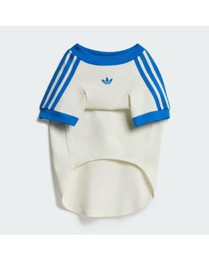 adidas Pet Cali Tee - Blue