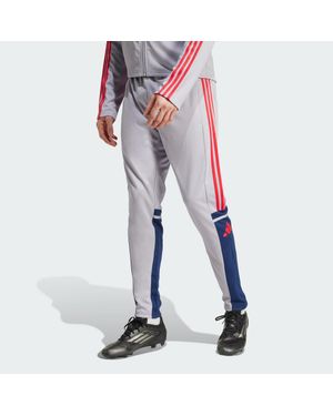 adidas Originals Squadra 25 Training Trousers - Grey