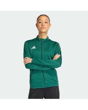 adidas Chaqueta Entrada26 - Verde