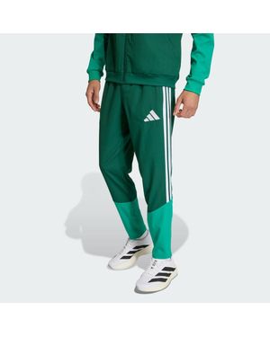 adidas Algeria 26 Presentation Tracksuit Bottoms - Green