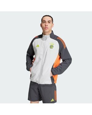 adidas Benfica Tiro 24 Competition Presentation Track Top - Blue