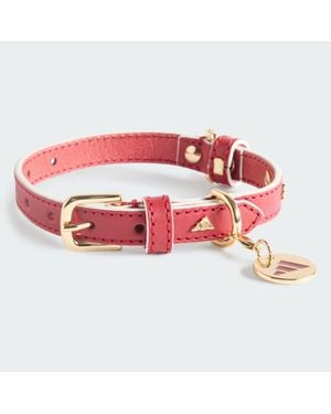 adidas Fc Liverpool Haustierhalsband - Rot