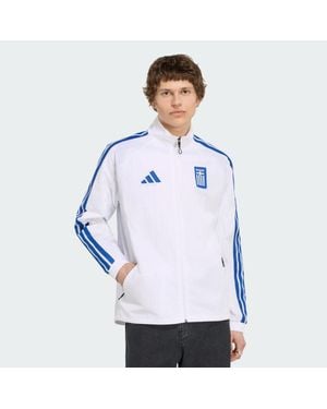 adidas Chaqueta Himno Primera Equipación Grecia - Azul