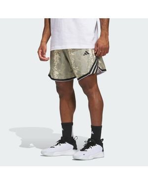 adidas Crazylite Animal Aop Short - Natural