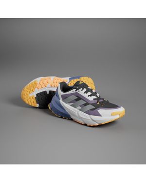 adidas Adistar Cold.Rdy Shoes - Metallic