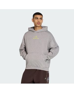 adidas Amg Washed Hoodie - Grey