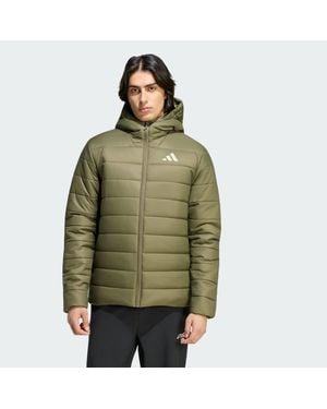 adidas Terrex Multi Essentials Climawarm Insulated Hooded Jacket - Green