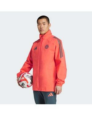 adidas Fc Bayern München Tiro 24 Regenjacke - Rot