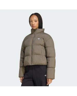 adidas Chaqueta Acolchada Corta - Marrón