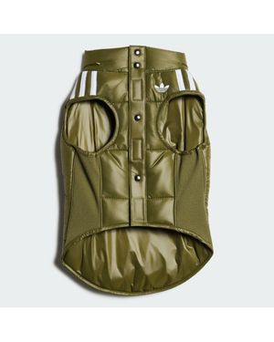 adidas Pet Padded Vest - Green