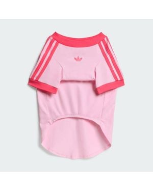 adidas Pet Cali Tee - Pink