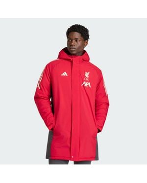 adidas Liverpool Fc Tiro 24 Stadium Parka - Red