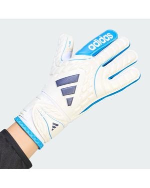 adidas Guantes De Portero Copa Club Junior - Azul