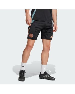 adidas Fc Bayern Tiro 24 Training Shorts - Black