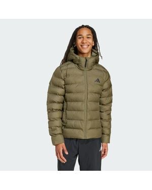 adidas Sdp Insulated Jacket - Green