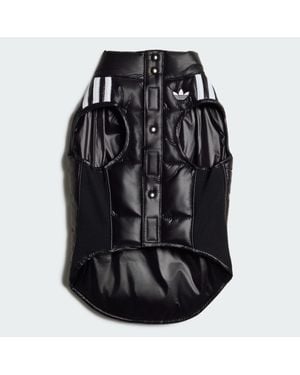 adidas Pet Padded Vest - Black