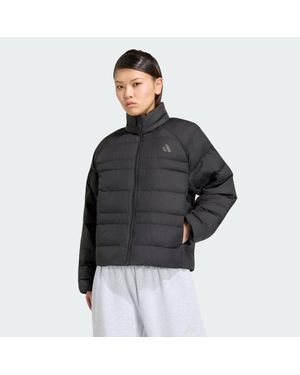 adidas Chaqueta Aislante Plegable Essentials - Negro