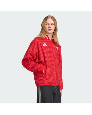 adidas Fc Bayern Muenchen Stadium Track Top - Red