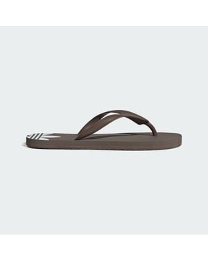 adidas Adi Sun Thongs - Brown