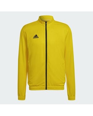 adidas Chaqueta Entrada 22 - Amarillo