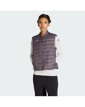 adidas Chaleco Acolchado Audi Revolut F1 Team Engineers & Marketing - Gris