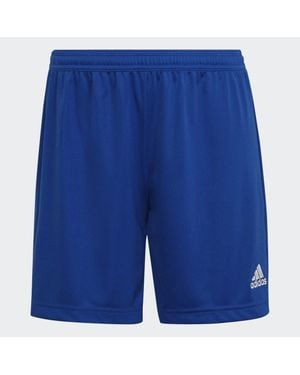 adidas Pantalón Corto Entrada 22 - Azul