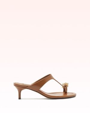 Alexandre Birman Gia 50 - Pink