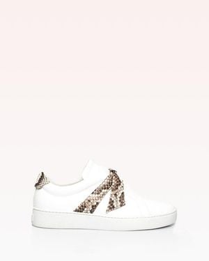 Alexandre Birman Clarita Sneaker Jungle Python - Natural