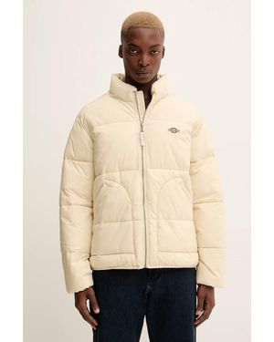 Dickies Giacca - Neutro