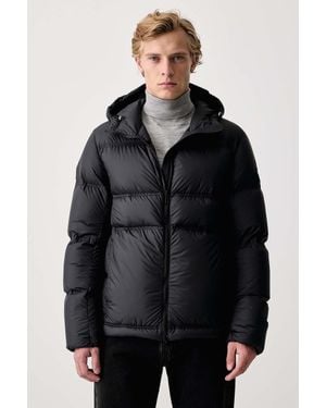 Colmar Giacca Piumino Da Uomo - Nero