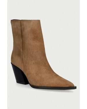 Steve Madden Stivali Alla Caviglia Su Tacco Basso Da Donna - Marrone